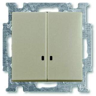 ABB BJB Basic 55 Шамп Выключатель 2-клавишный с подсветкой в Москве